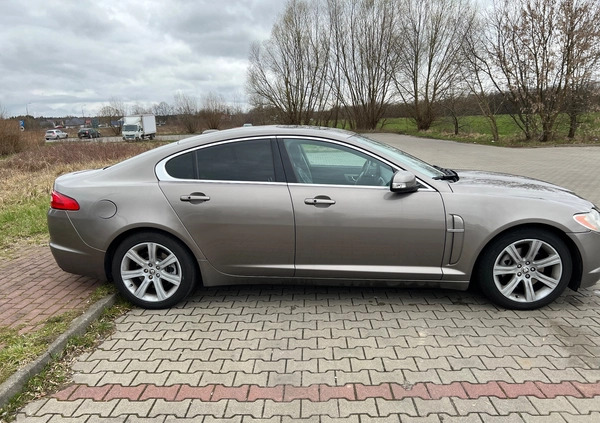 Jaguar XF cena 31900 przebieg: 196902, rok produkcji 2008 z Jarocin małe 277